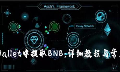 如何在TPWallet中提取BNB：详细教程与常见问题解答