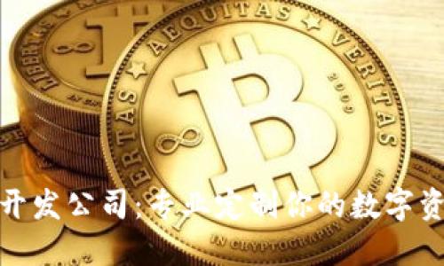 安徽区块链钱包开发公司：专业定制你的数字资产安全解决方案