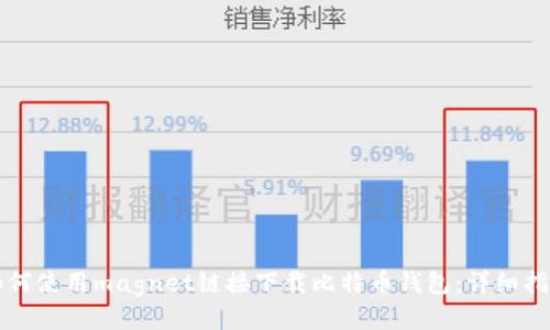 如何使用magnet链接下载比特币钱包：详细指南
