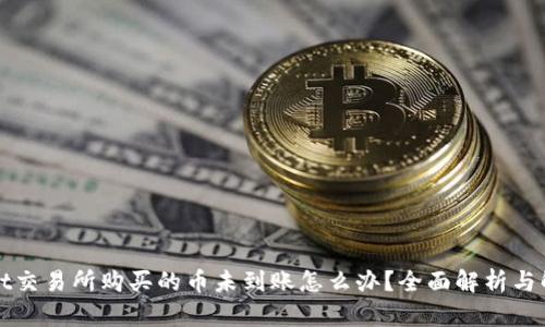 TPWallet交易所购买的币未到账怎么办？全面解析与解决方案