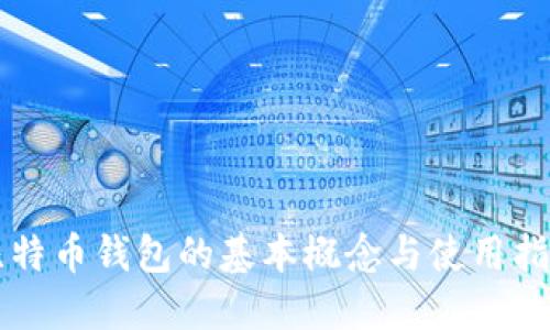 比特币钱包的基本概念与使用指南