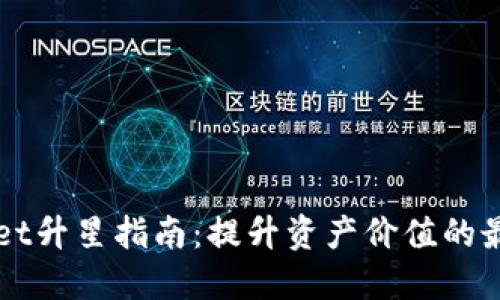 TPWallet升星指南：提升资产价值的最佳方法