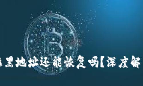 tpwallet被拉黑地址还能恢复吗？深度解析和解决方案
