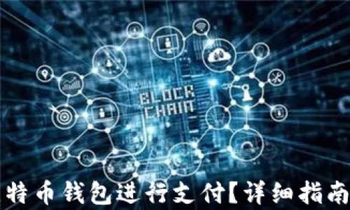 
如何使用比特币钱包进行支付？详细指南与代码解析