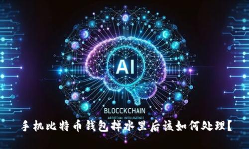 手机比特币钱包掉水里后该如何处理？