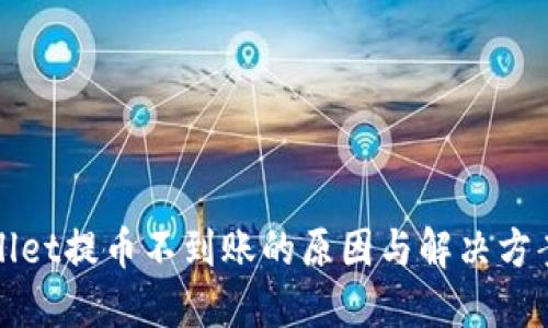 TPWallet提币不到账的原因与解决方案详解