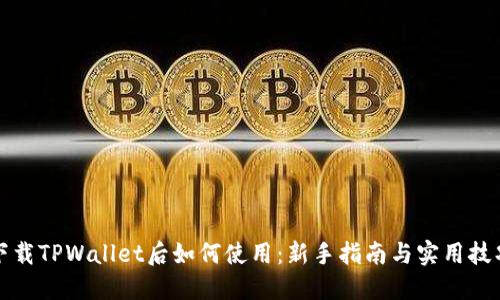 下载TPWallet后如何使用：新手指南与实用技巧