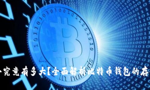 比特币钱包大小究竟有多大？全面解析比特币钱包的存储需求与安全性