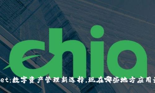 TPWallet：数字资产管理新选择，现在哪些地方应用最广泛？