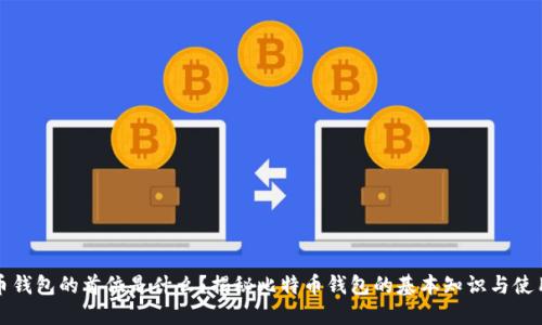 比特币钱包的首位是什么？揭秘比特币钱包的基本知识与使用技巧