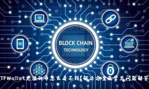 TPWallet充值的币怎么看不到？解决方案及常见问题解答