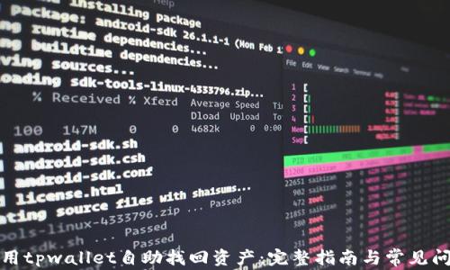 
如何使用tpwallet自助找回资产：完整指南与常见问题解答