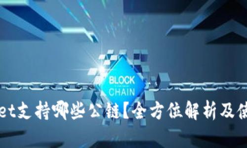TPWallet支持哪些公链？全方位解析及使用指南