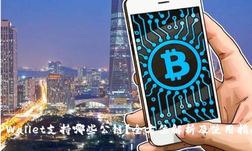 TPWallet支持哪些公链？全方位解析及使用指南