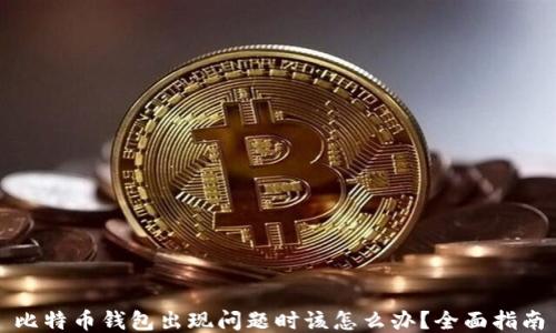 
比特币钱包出现问题时该怎么办？全面指南