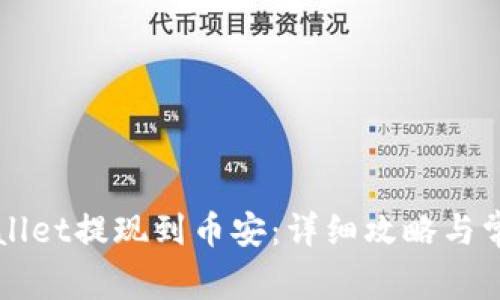 如何将TPWallet提现到币安：详细攻略与常见问题解答