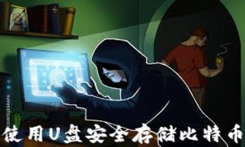 
如何使用U盘安全存储比特币钱包