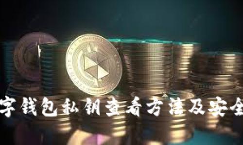 TP数字钱包私钥查看方法及安全指南