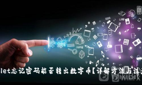 tpwallet忘记密码能否转出数字币?详解方法与注意事项