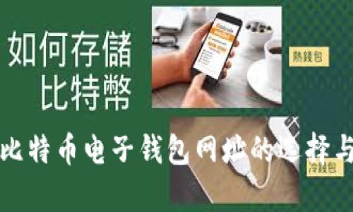 全面解析比特币电子钱包网址的选择与使用指南