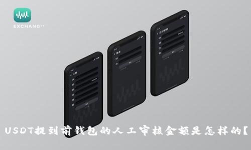 USDT提到前钱包的人工审核金额是怎样的？