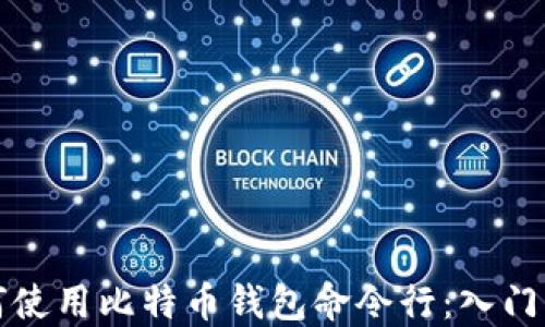 
如何使用比特币钱包命令行：入门指南
