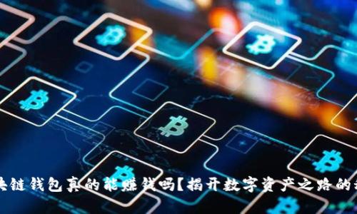 区块链钱包真的能赚钱吗？揭开数字资产之路的秘密