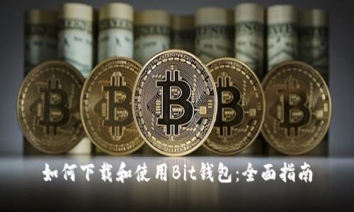 如何下载和使用Bit钱包：全面指南