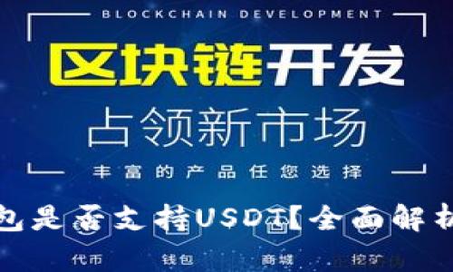 : 比太冷钱包是否支持USDT？全面解析与使用指南