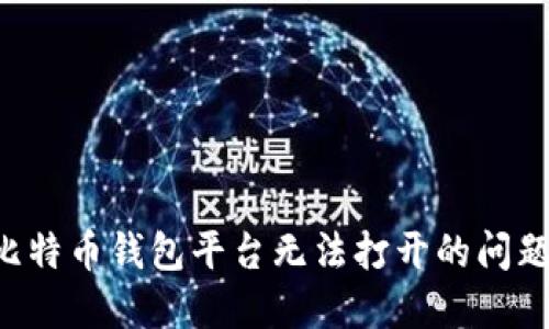 如何解决比特币钱包平台无法打开的问题：全面指南