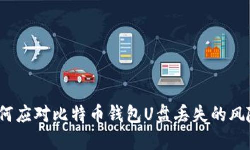 如何应对比特币钱包U盘丢失的风险？