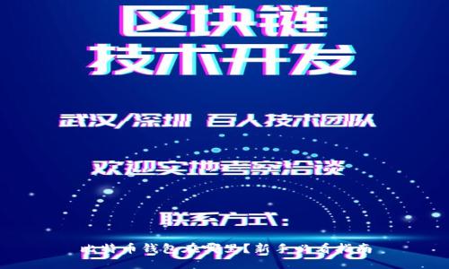 比特币钱包在哪里？新手必看指南