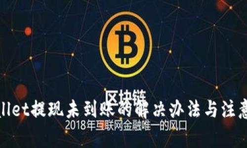tpwallet提现未到账的解决办法与注意事项