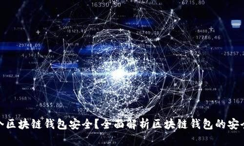 哪个区块链钱包安全？全面解析区块链钱包的安全性