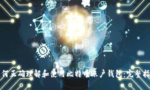 如何正确理解和使用比特币账户钱包：完整指南