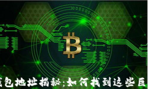 
以太坊土豪钱包地址揭秘：如何找到这些巨额资产的背后