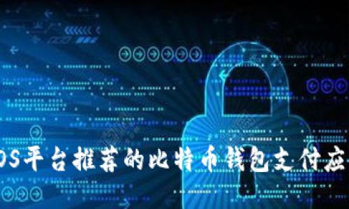 IOS平台推荐的比特币钱包支付应用