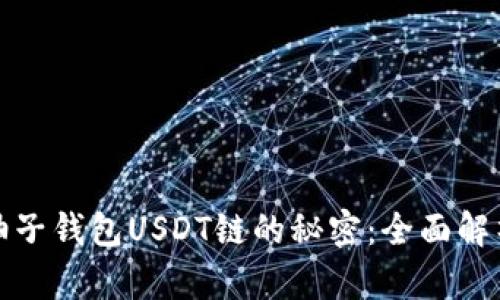: 揭开柚子钱包USDT链的秘密：全面解析与应用
