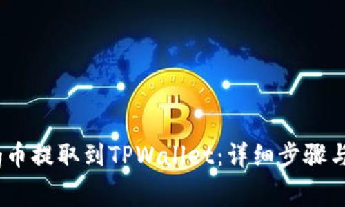 如何将Pig币提取到TPWallet：详细步骤与注意事项