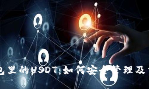 币币钱包里的USDT：如何安全管理及交易策略