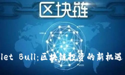 TPWallet Bull：区块链投资的新机遇与前景