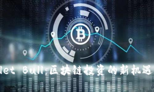 TPWallet Bull：区块链投资的新机遇与前景