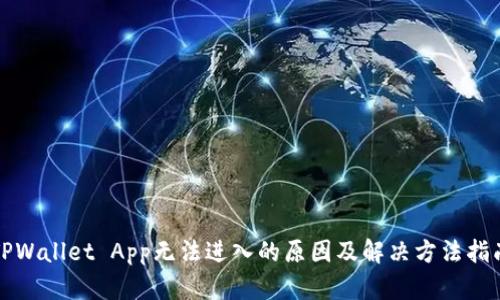 TPWallet App无法进入的原因及解决方法指南