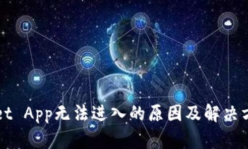 TPWallet App无法进入的原因及解决方法指南