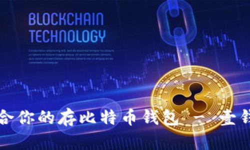 如何选择适合你的存比特币钱包 - 壹钱包详细解析