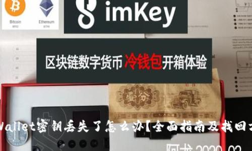 TPWallet密钥丢失了怎么办？全面指南及找回方法