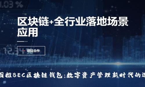 美图推BEC区块链钱包：数字资产管理新时代的选择