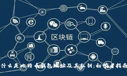 什么是比特币钱包地址及其私钥：初学者指南