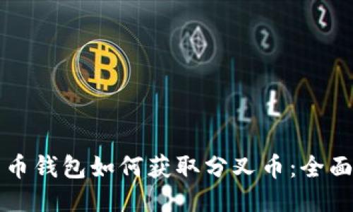 比特币钱包如何获取分叉币：全面指南