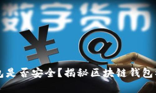 区块链钱包是否安全？揭秘区块链钱包被盗的真相